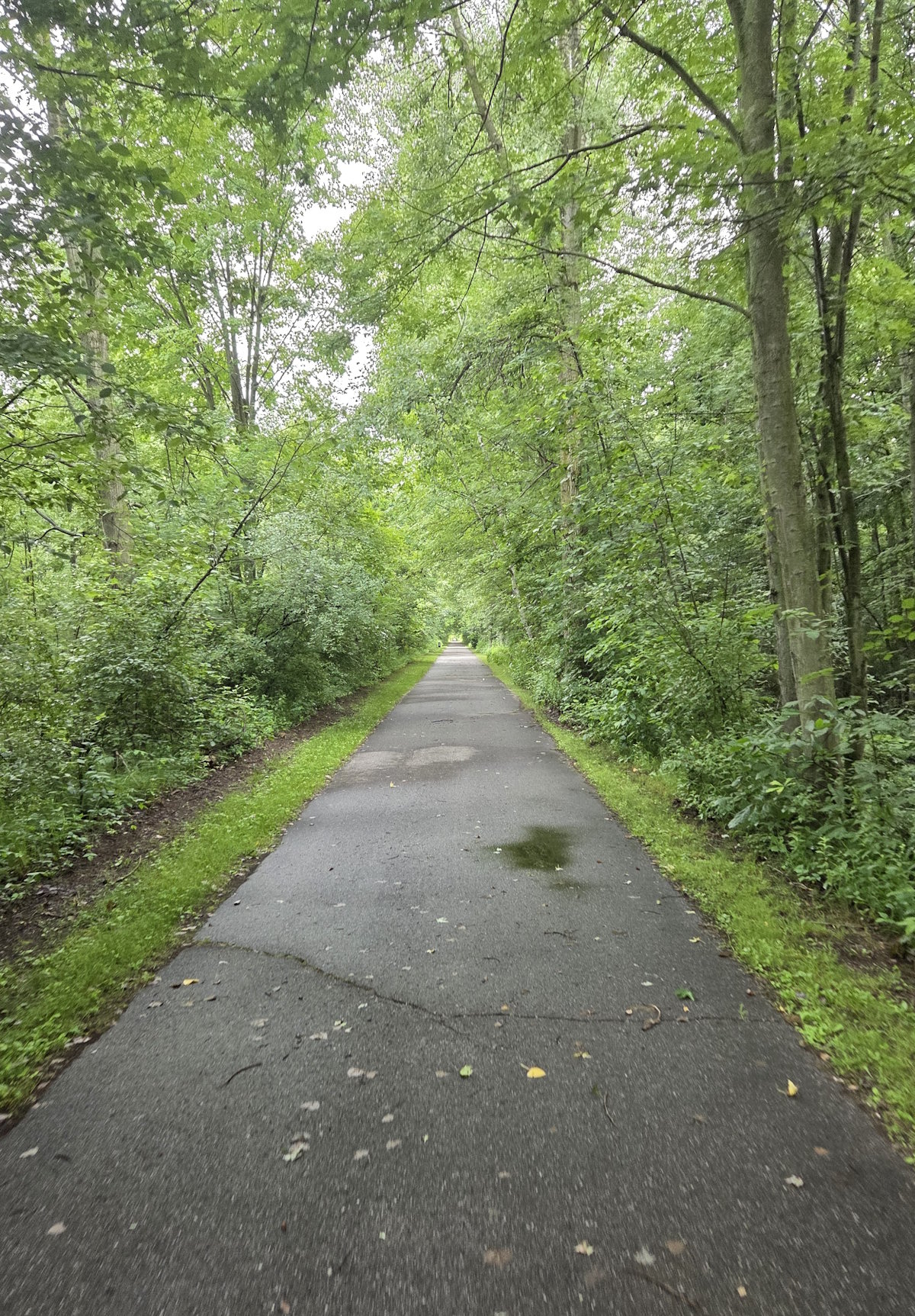 Wadhams to Avoca Trail