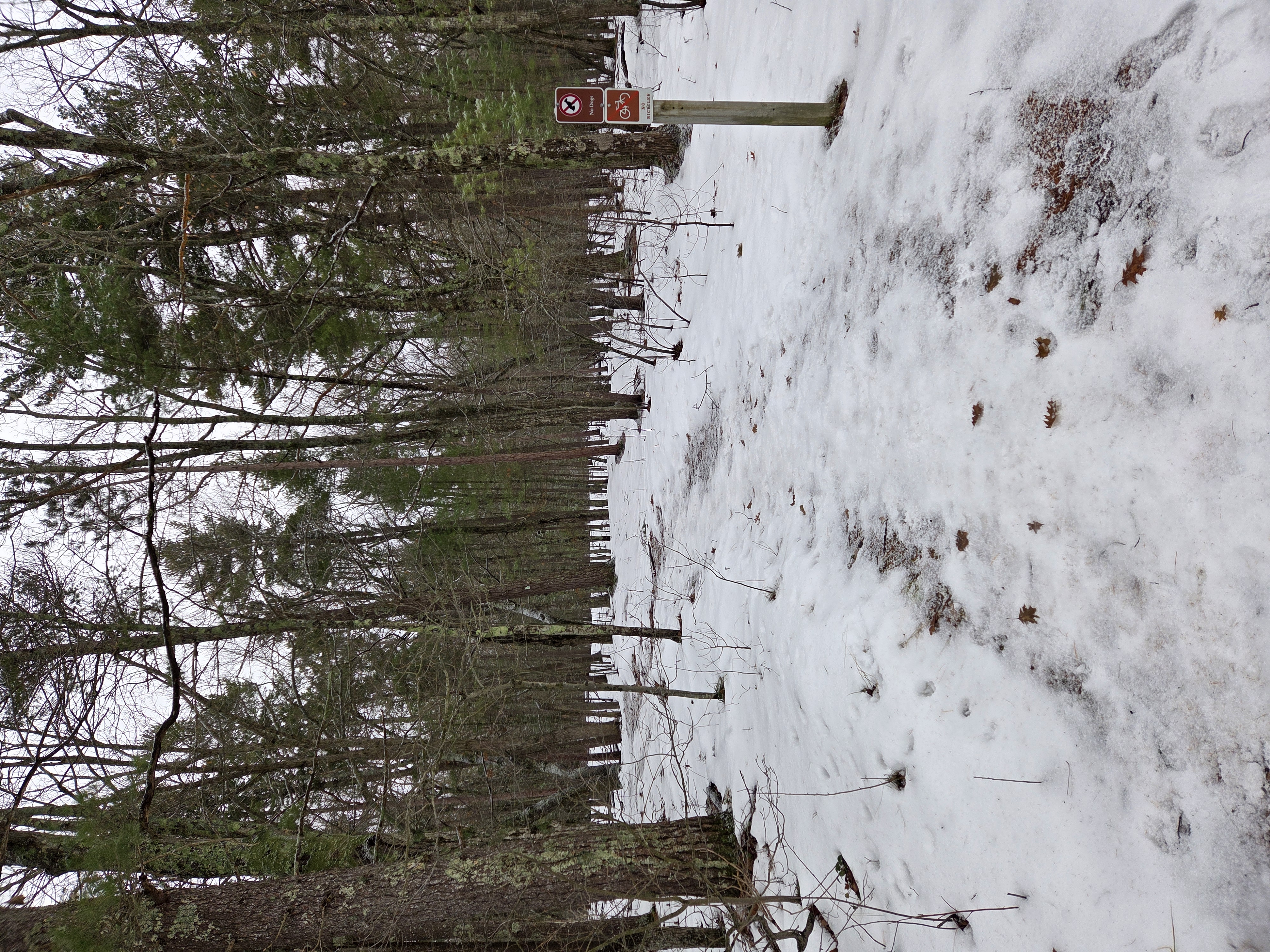 Winter Walk on the Beach at Good Harbor