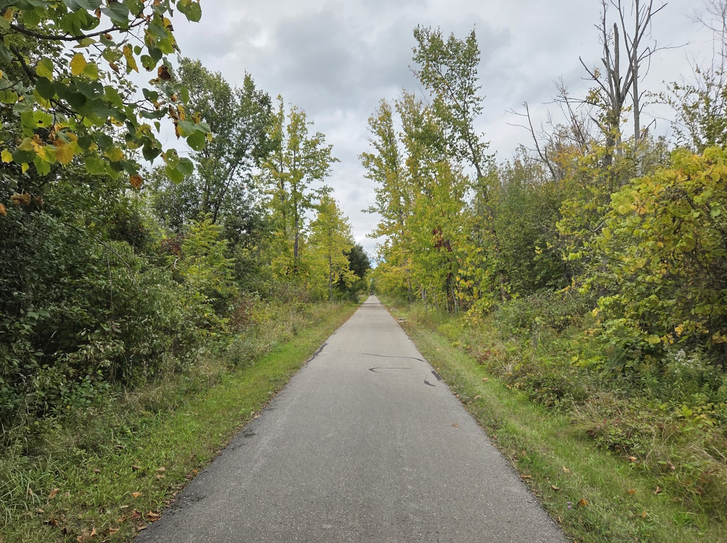 Fall is Sneaking into Leelanau County