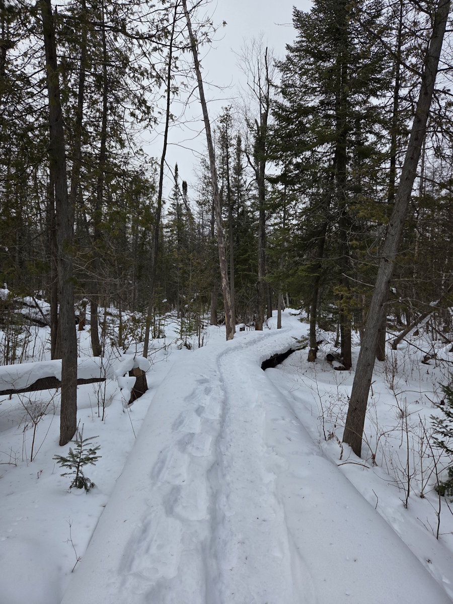 Winter Walk at Miller Creek