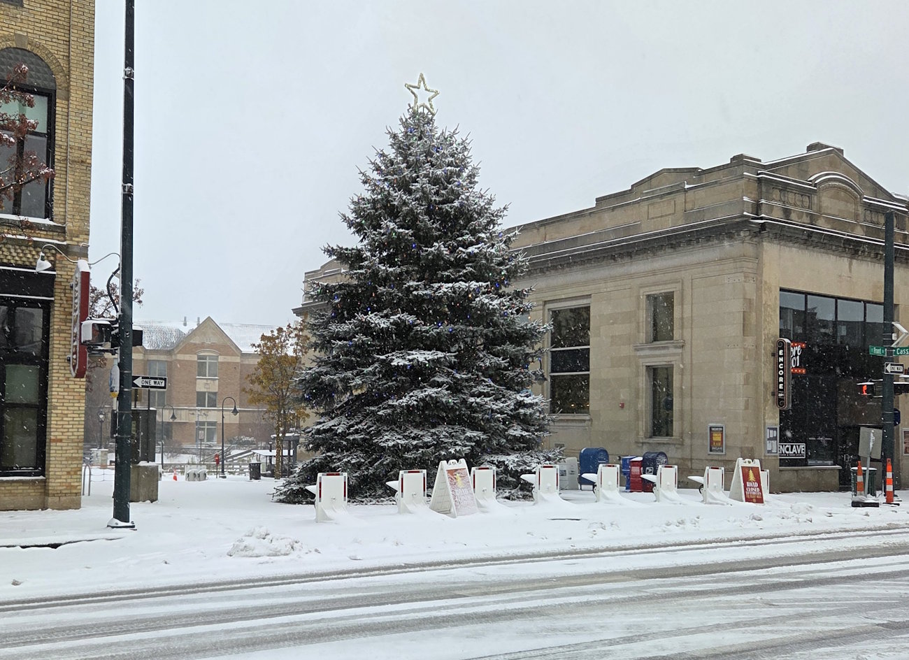 Whose Idea Was This?